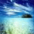 sypegync73s Foto