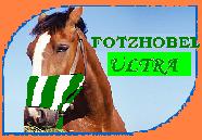 DDr_Gipsy_Queen-Nestroy/Muadas Foto
