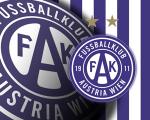 Forza_Viola_04s Foto