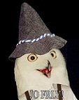 wiruzs Foto