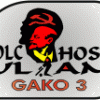 Gako3