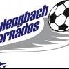 Neulengbach Tornados