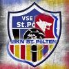 SKN-Fan