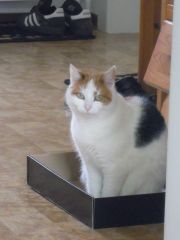 DSCN2209