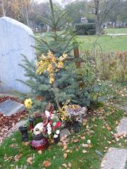 Decker Karl Ehrengrab Zentralfriedhof