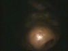 uuuaaaarrrrghlllll_146449.gif