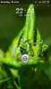 post-3087-0-46737500-1308516671_thumb.pn