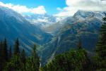 DSC06469_kl.jpg