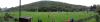 post-8099-038491400 1286178051_thumb.jpg
