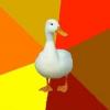 post-25508-0-56781100-1318510576_thumb.j