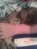 post-40899-0-36302200-1322392307_thumb.j