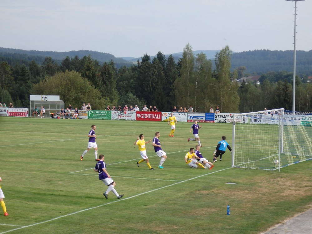 P9031959.JPG