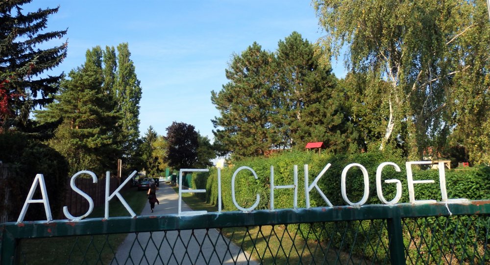 PA014176.JPG