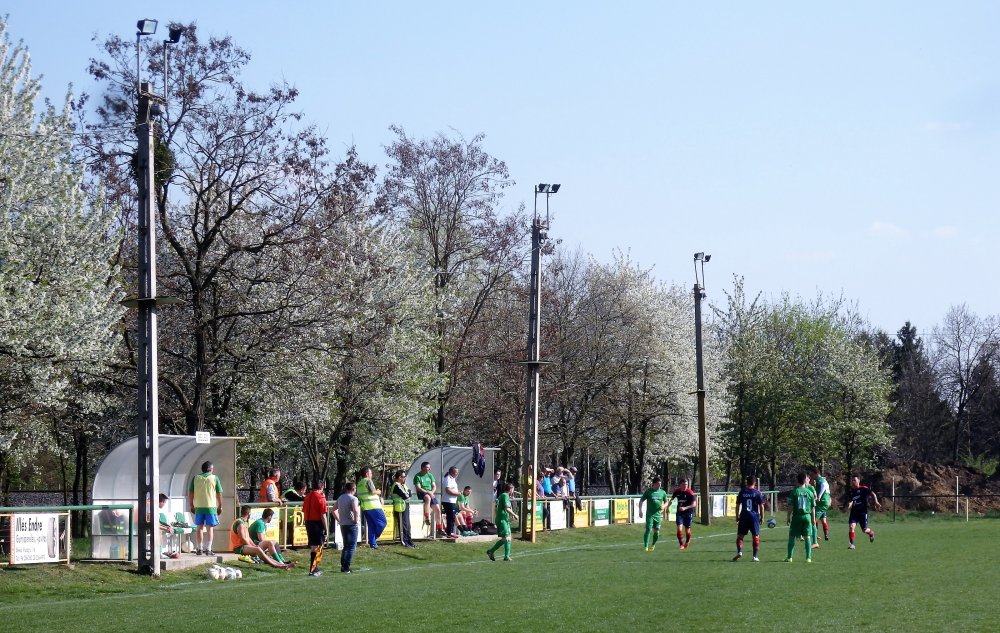 P4025916.JPG