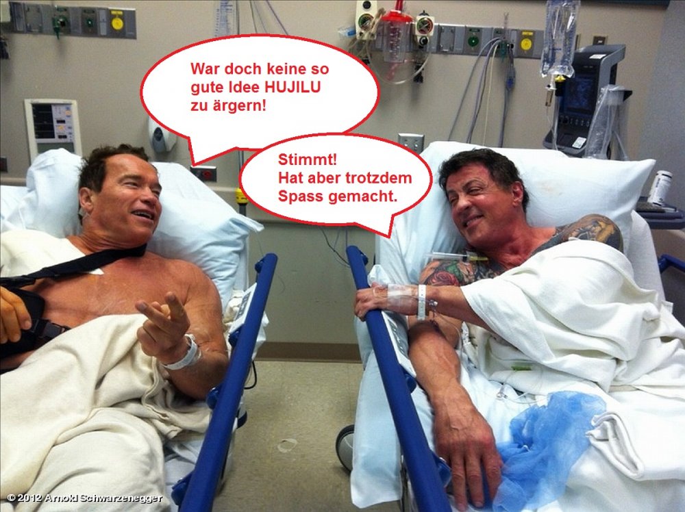 Schwarzenegger-Stallone HUJILU.jpg