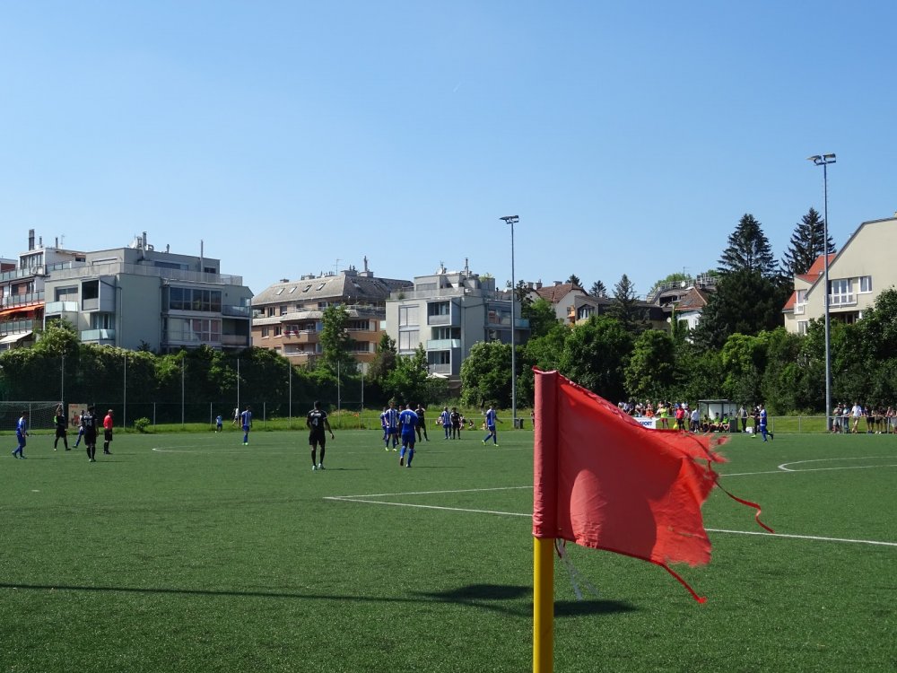 DSC06129.JPG