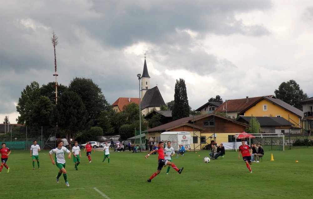 P7157924.JPG