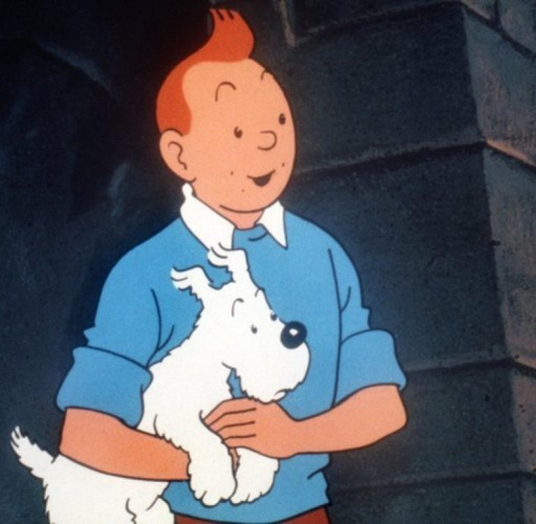 Herge-8-DW-Kultur-Oberhausen-jpg.jpg