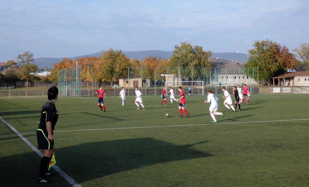 PA216585.JPG