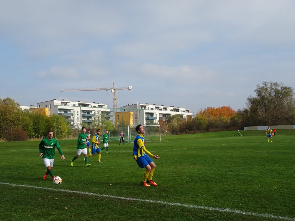 DSC06517.JPG