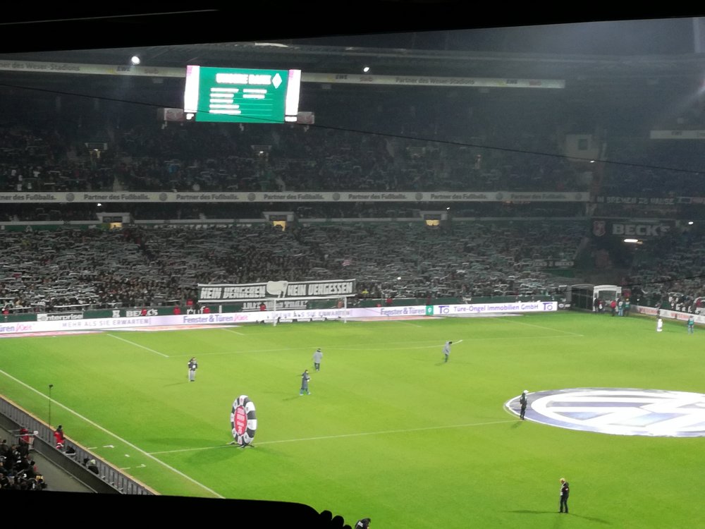 Foto2.jpg