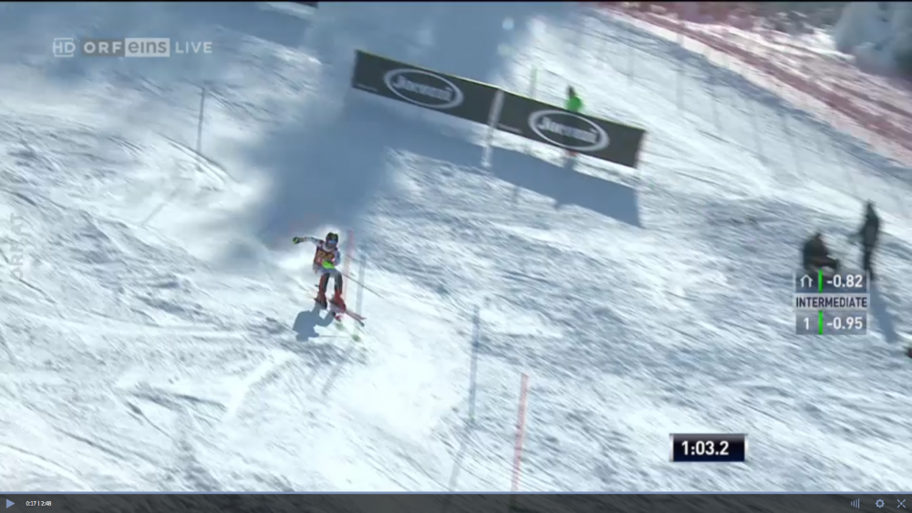 Hirscher1.png