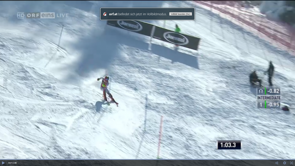 Hirscher2.png