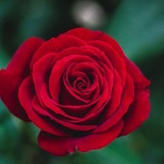Xardas_2.6