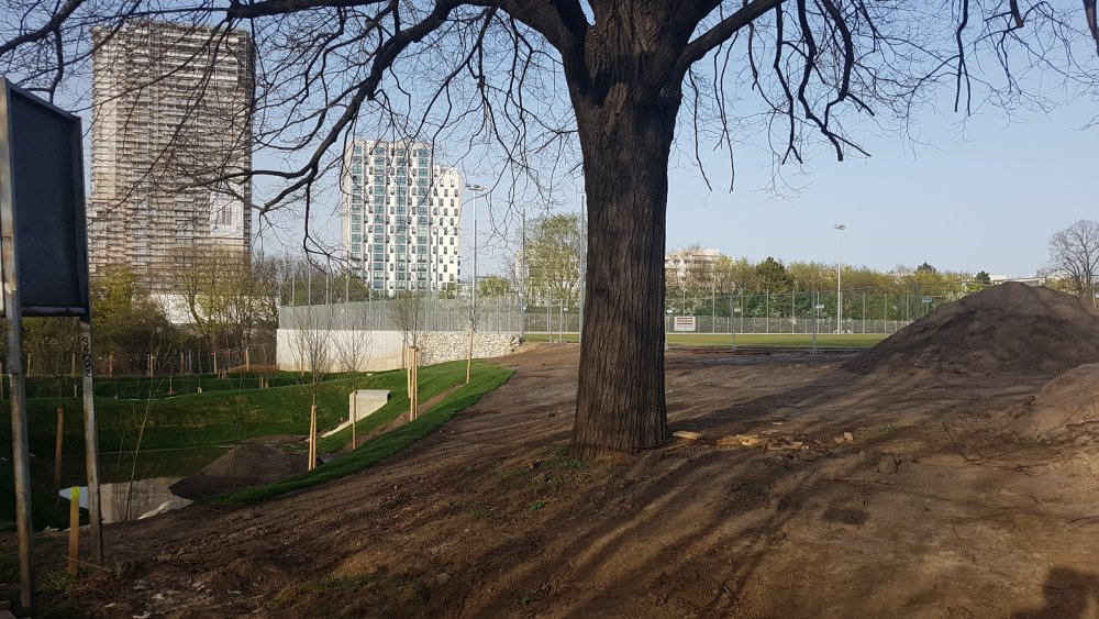 20180411_181037.jpg