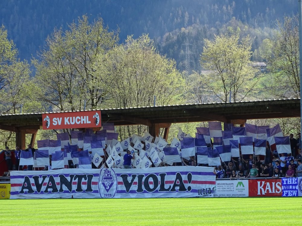 Foto2.jpg