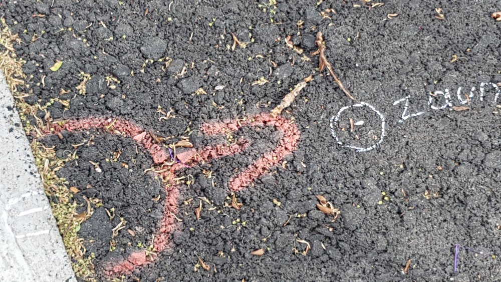 20180501_164303.jpg