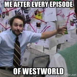 me-after-every-episode-of-westworld.jpg