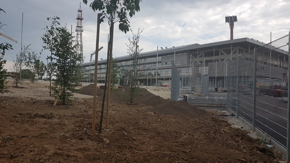 20180617_161709.jpg