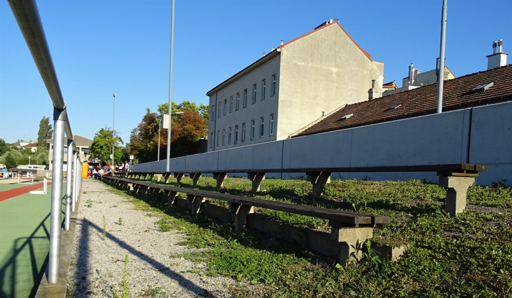 DSC07474.JPG