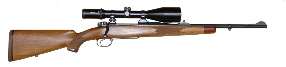 Modern_Hunting_Rifle.jpg