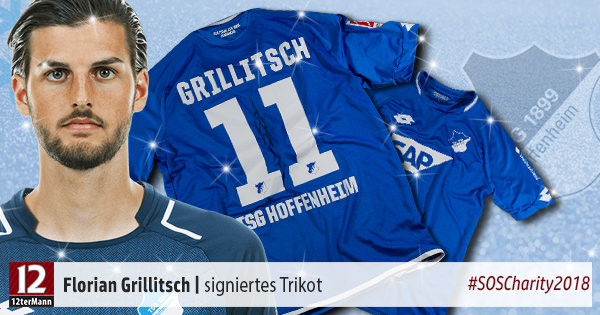 51-grillitsch-florian-tsg-hoffenheim-trikot-signiert-soscharity.jpg