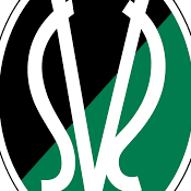 schwarzgrünspecht