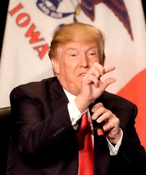 donald-trump-short-fingered-vulgarian-fingers-bruce-handy-ss02.jpg