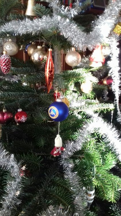 Weihnachtsbaum 2019.jpg