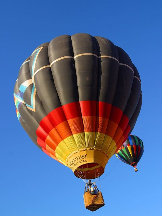 Balloons_3_bg_060504.jpg