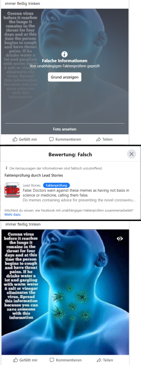 fakenewsfacebook.png