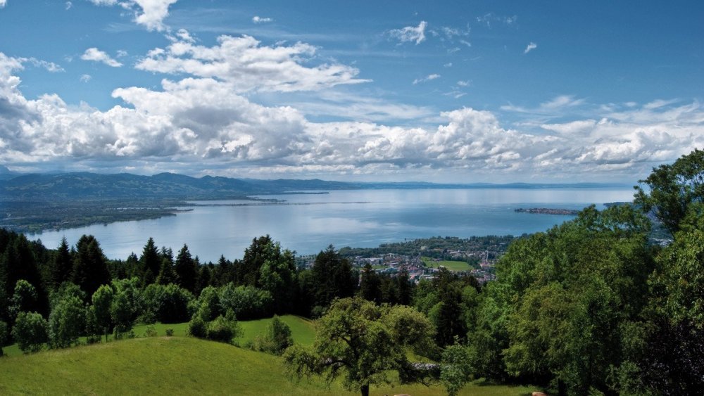 blick-von-eichenberg-auf-den-bodensee_michael-gromer-bregenz-tourismus-stadtmarketing.jpeg