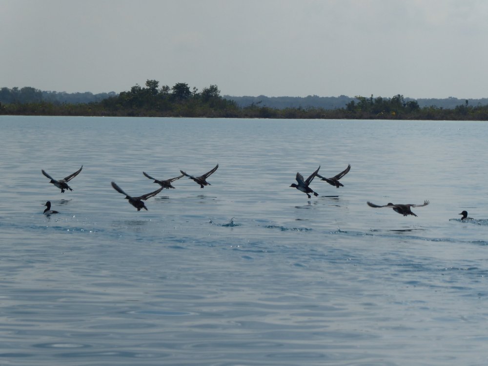 P1000087.JPG
