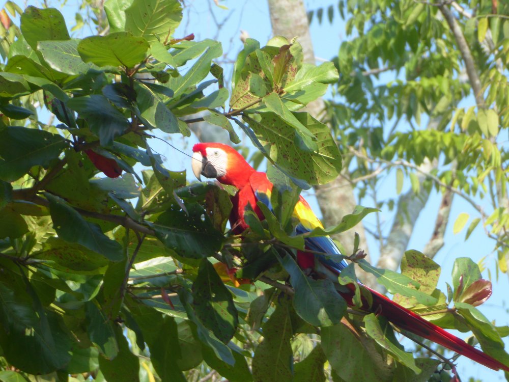P1000156.JPG