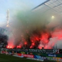 Forza Rapid