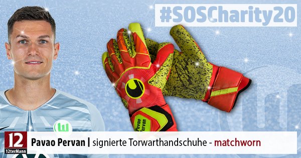 09-Pervan-Pavao-matchworn-Torwarthandschuhe-signiert-SOSCharity20.jpg