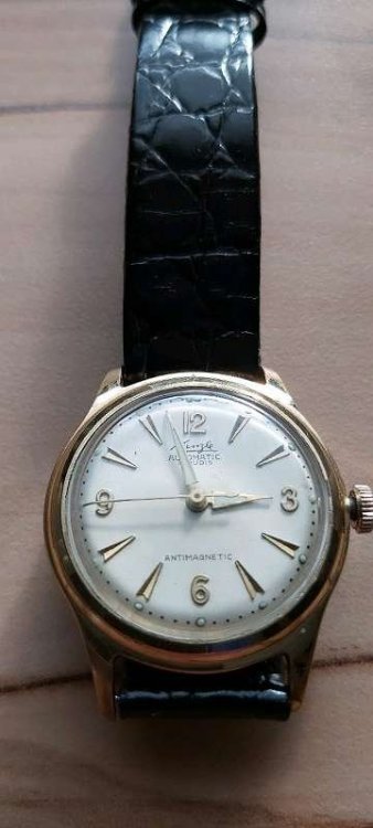 172_-603005383.jpg