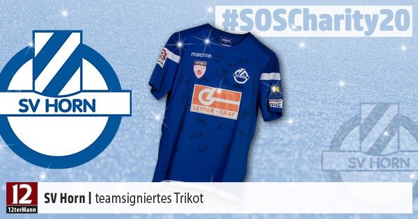 18-SV-Horn-Trikot-teamsigniert-SOSCharity20.jpg