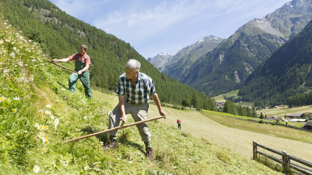 Bergbauern.jpg