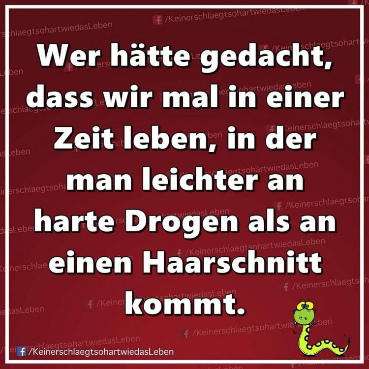 FB_IMG_1613072471421.jpg